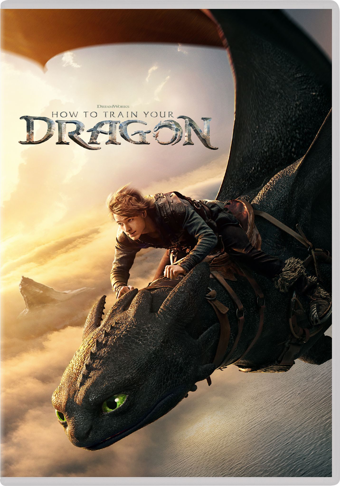 How to train your dragon