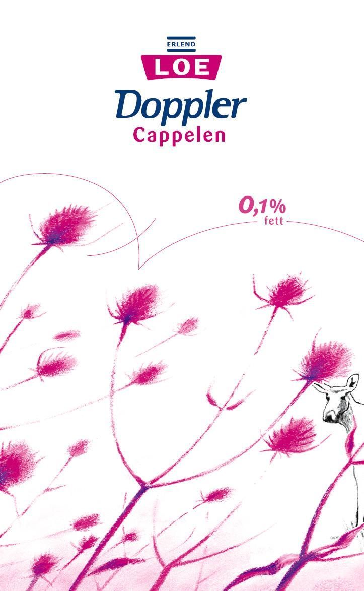 Doppler : roman