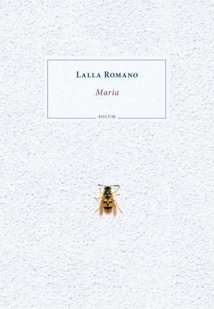 Maria : roman