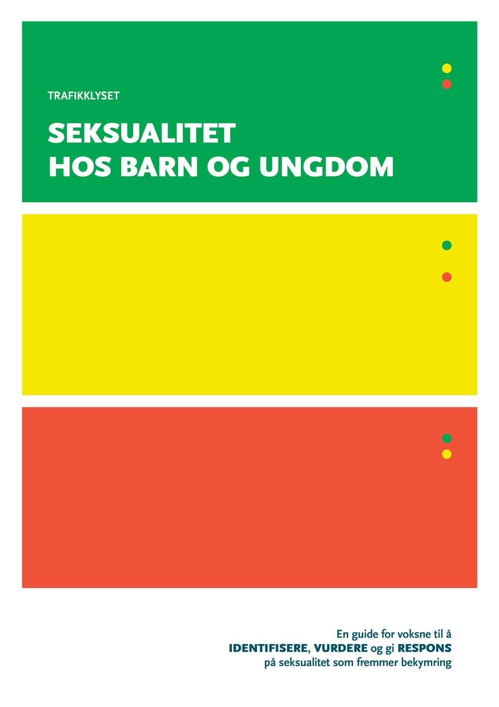 Seksualitet hos barn og ungdom : en guide for voksne til å identifisere, vurdere og gi respons på seksualitet som fremmer bekymring