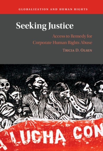 Seeking Justice : Access to Remedy for Corporate Human Rights Abuse