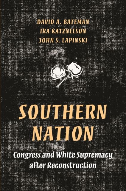 Southern Nation : Congress and White Supremacy after Reconstruction