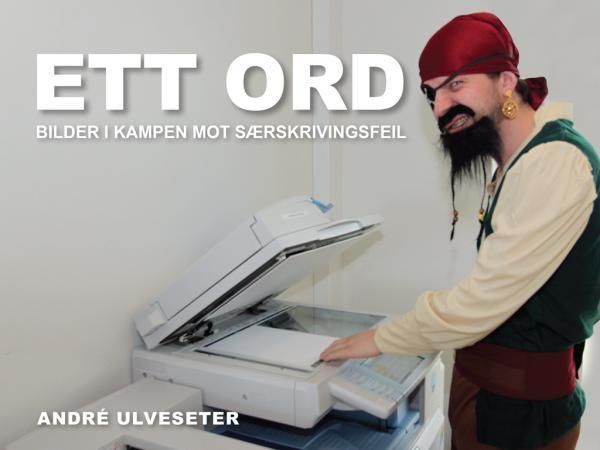 Ett ord : bilder i kampen mot særskrivingsfeil