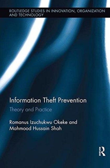 Information Theft Prevention : Theory and Practice