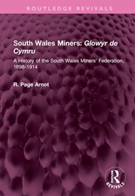 South Wales Miners: Glowyr de Cymru : A History of the South Wales Miners' Federation, 1898-1914
