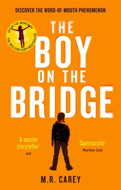 The boy on the bridge