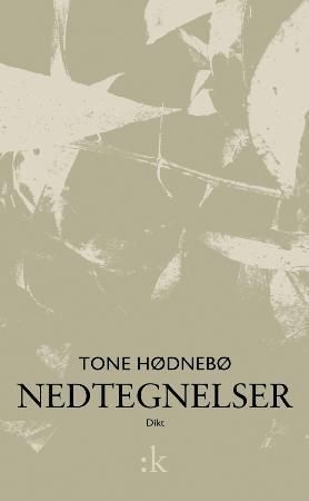 Nedtegnelser : dikt