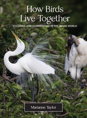 How Birds Live Together : Colonies and Communities in the Avian World