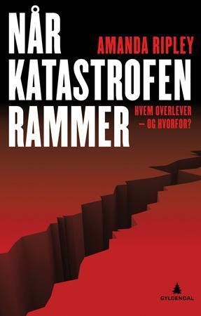 Når katastrofen rammer : hvem overlever - og hvorfor?