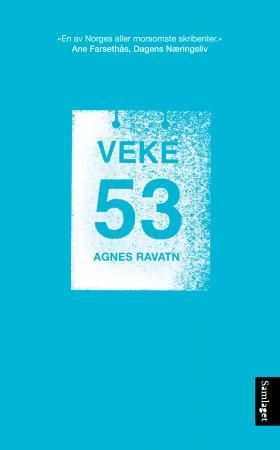 Veke 53 : roman