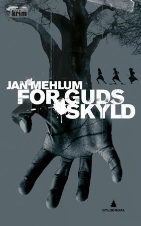 For guds skyld : kriminalroman