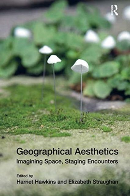 Geographical Aesthetics : Imagining Space, Staging Encounters