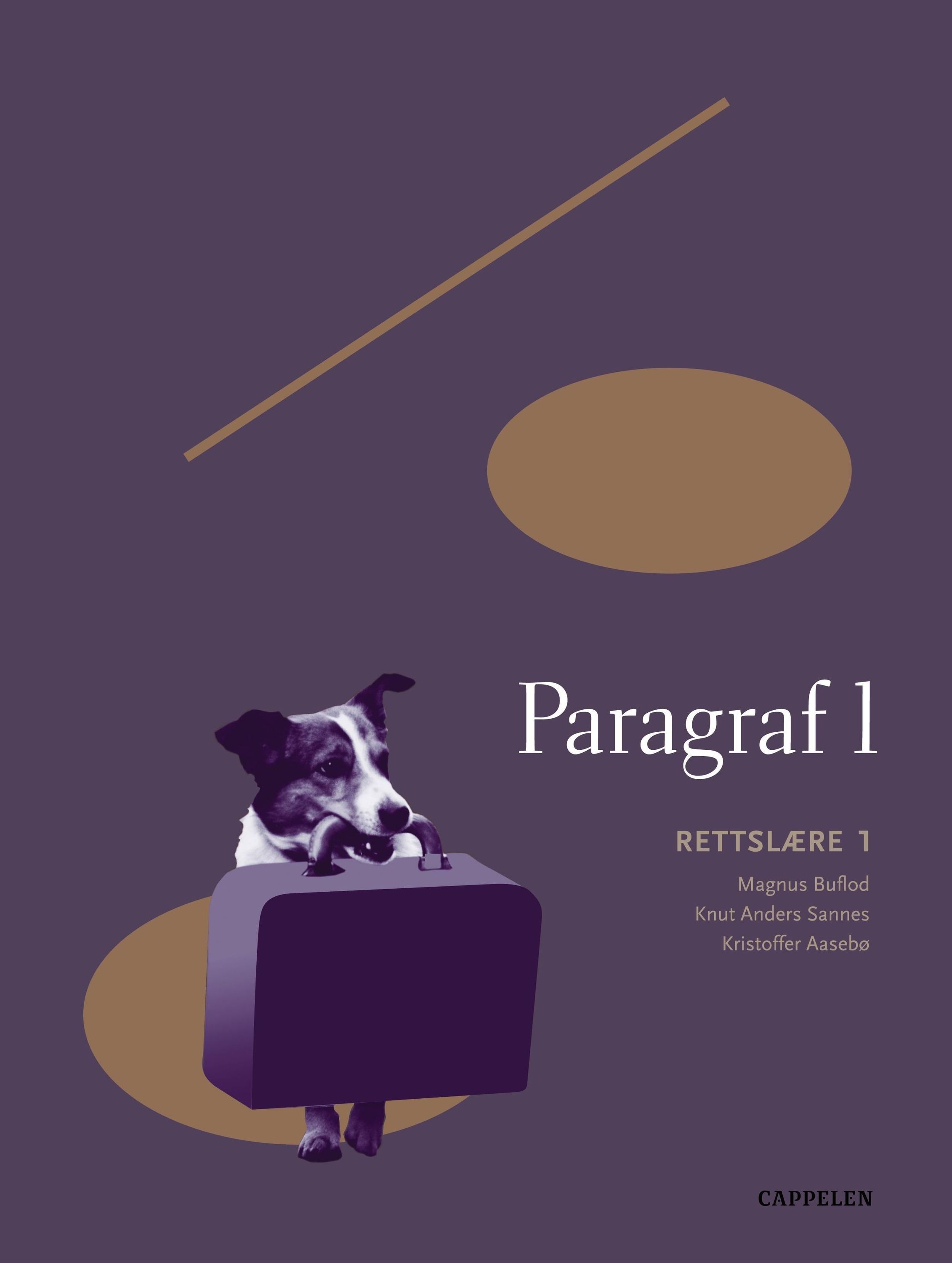 Paragraf 1 : rettslære 1