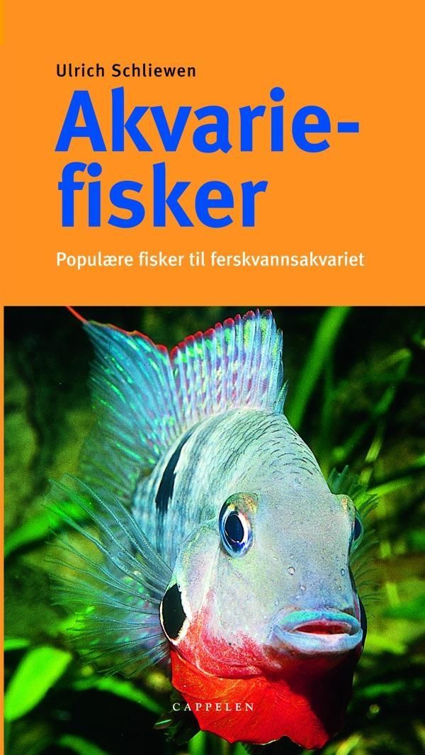 Akvariefisker : populære fisker til ferskvannsakvariet