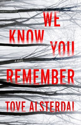 We Know You Remember : A Novel