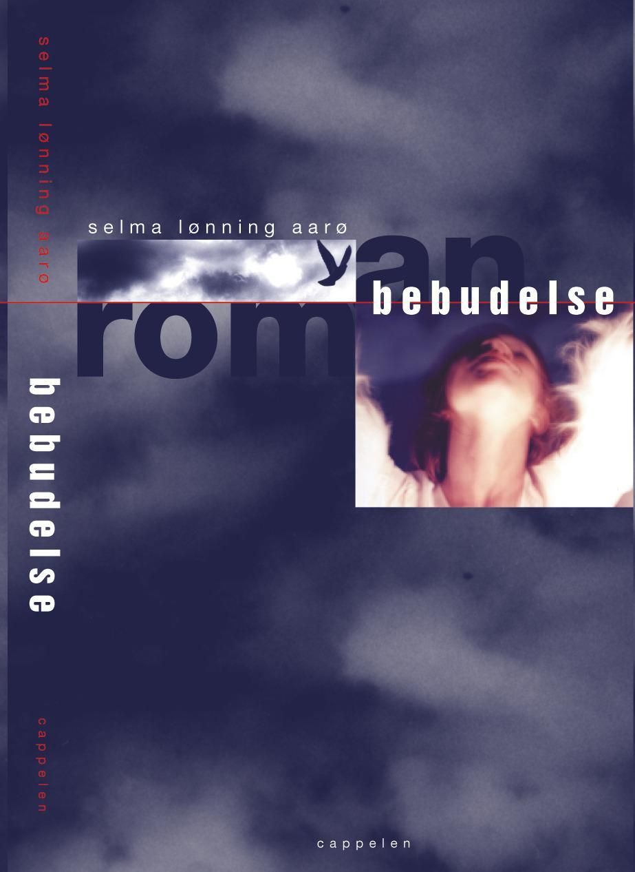 Bebudelse : roman