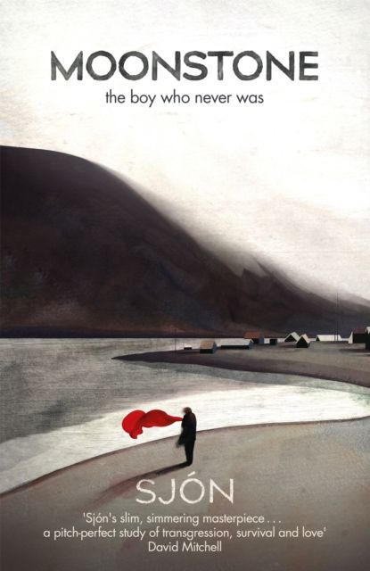 Moonstone: The Boy Who Never Was : 'A brief, brilliant jewel of a book' Guardian