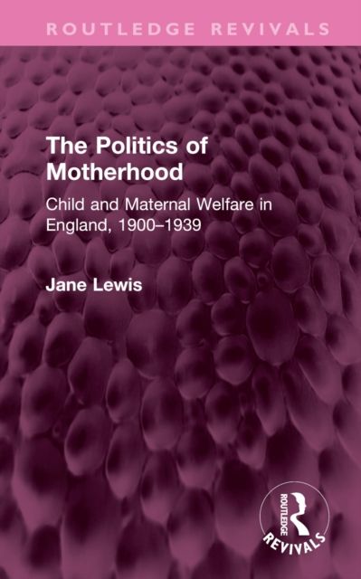 The Politics of Motherhood : Child and Maternal Welfare in England, 1900-1939