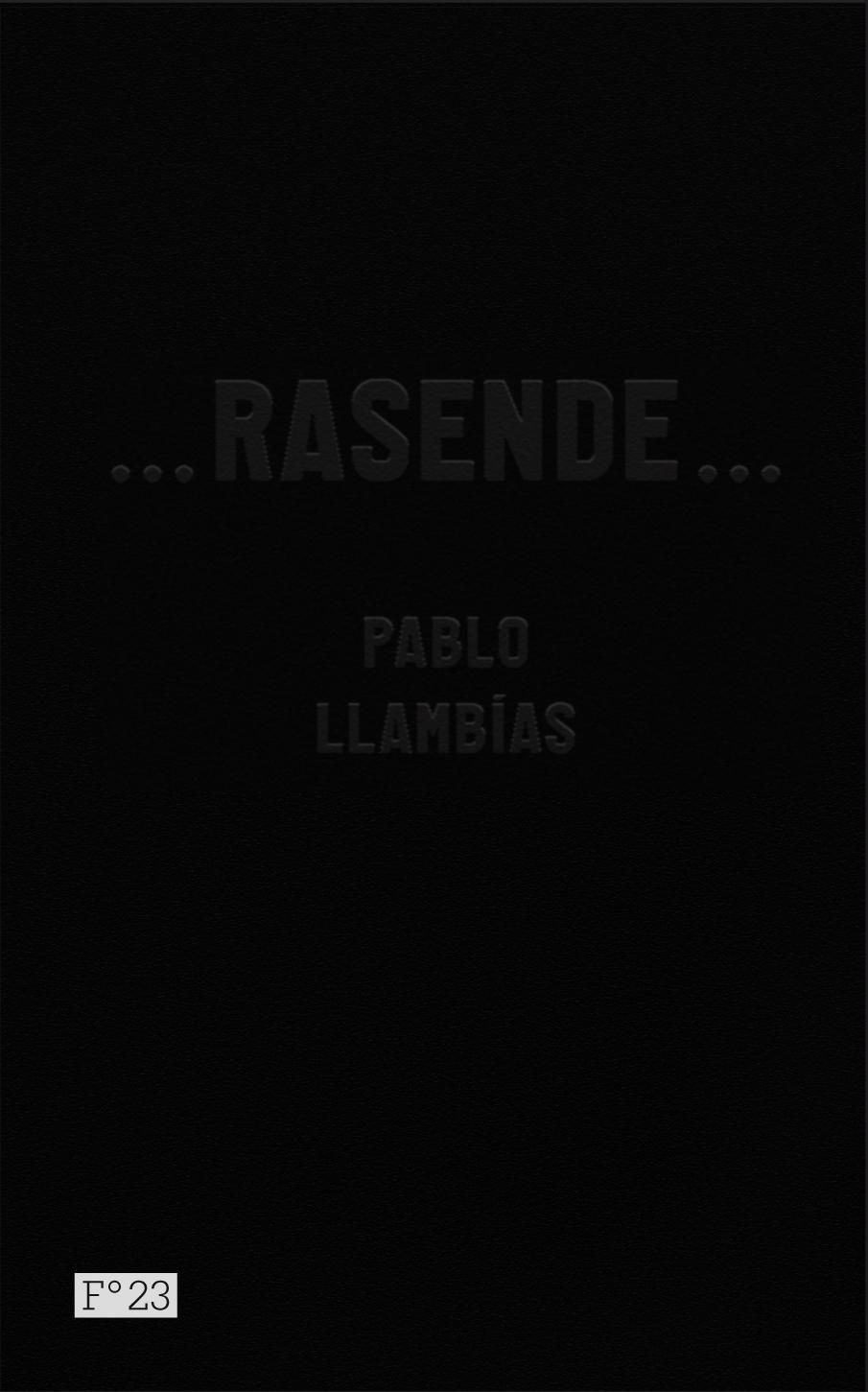 -rasende- : roman