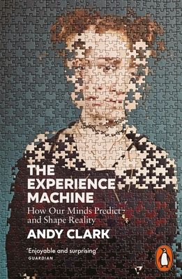 The Experience Machine : How Our Minds Predict and Shape Reality