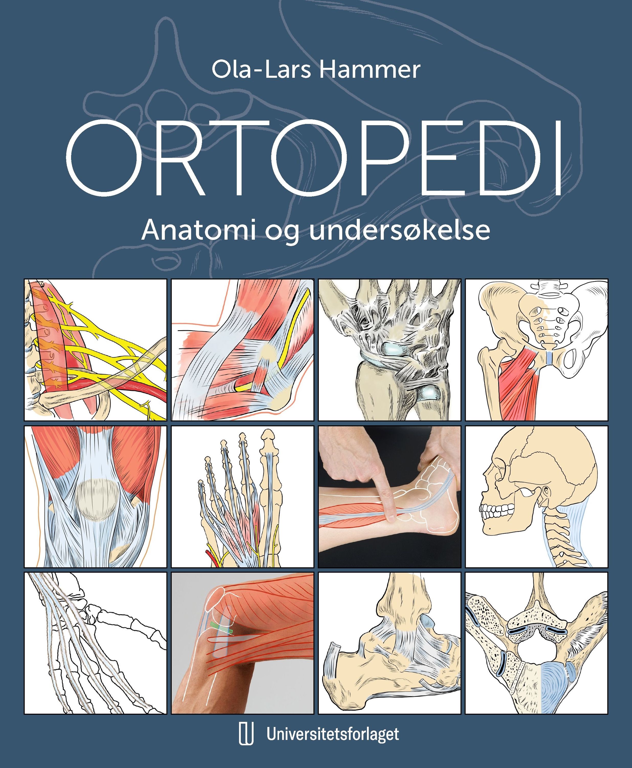 Forsidebilde av Ortopedi : anatomi og undersøkelse