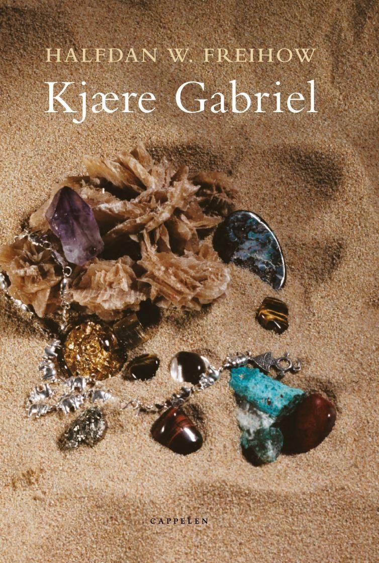 Forsidebilde av Kjære Gabriel : et brev