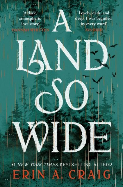 A Land So Wide : A breathtaking, deliciously dark fairy tale from #1 New York Times and USA Today bestselling author Erin A. Craig