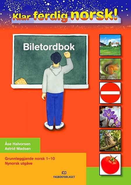 Klar, ferdig, norsk! : biletordbok : grunnleggjande norsk for språklege minoritetar