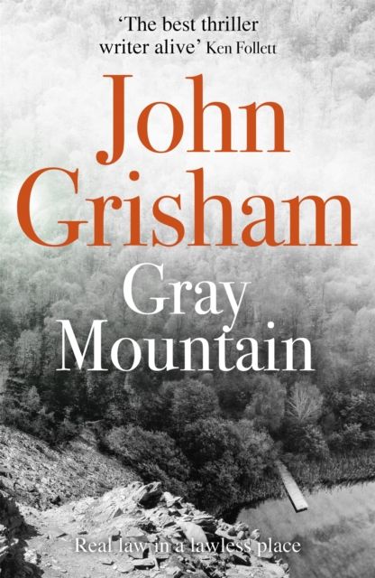 Gray Mountain : The pulse-pounding crime thriller from the number 1 Sunday Times bestselling author