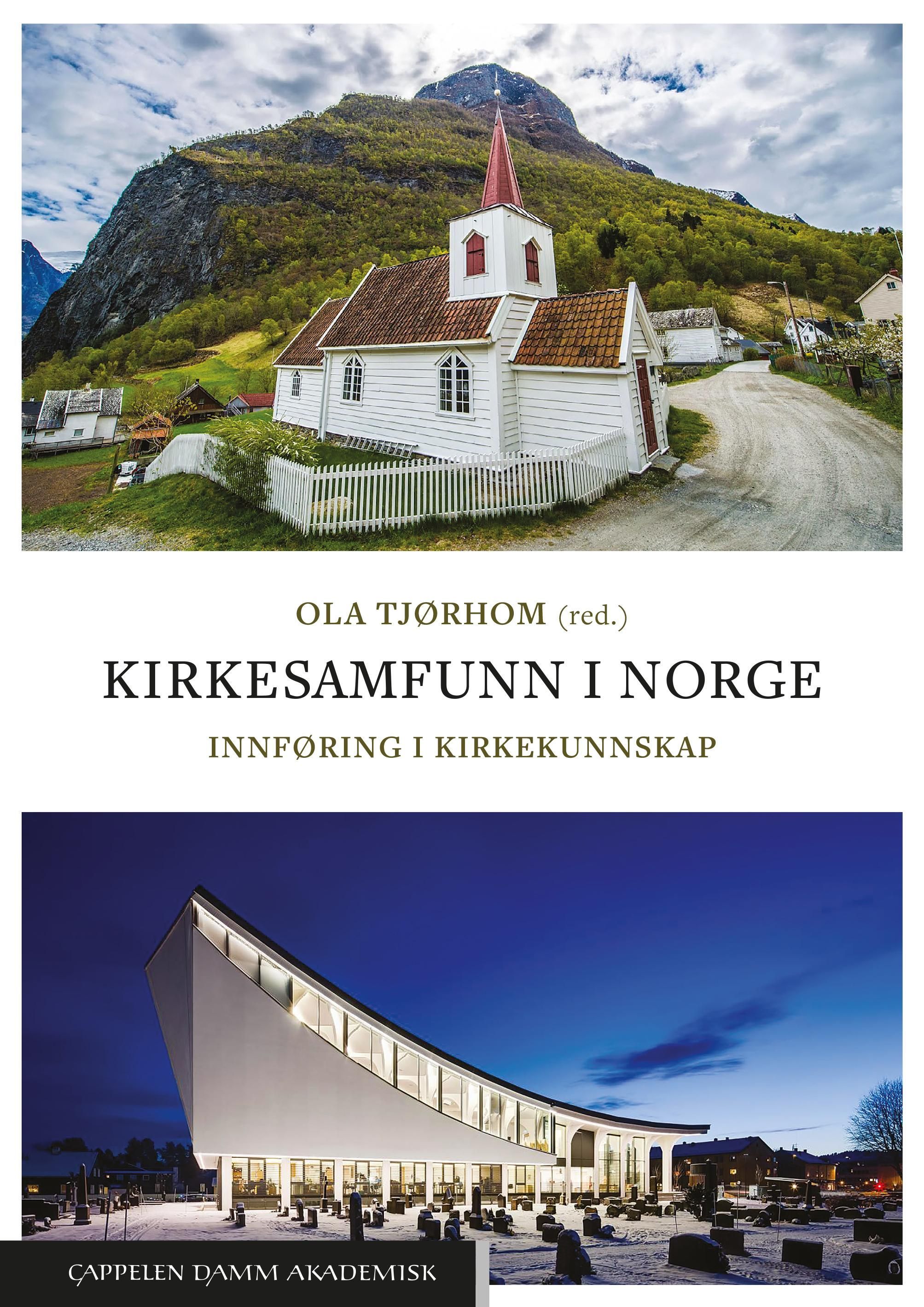 Kirkesamfunn i Norge : innføring i kirkekunnskap