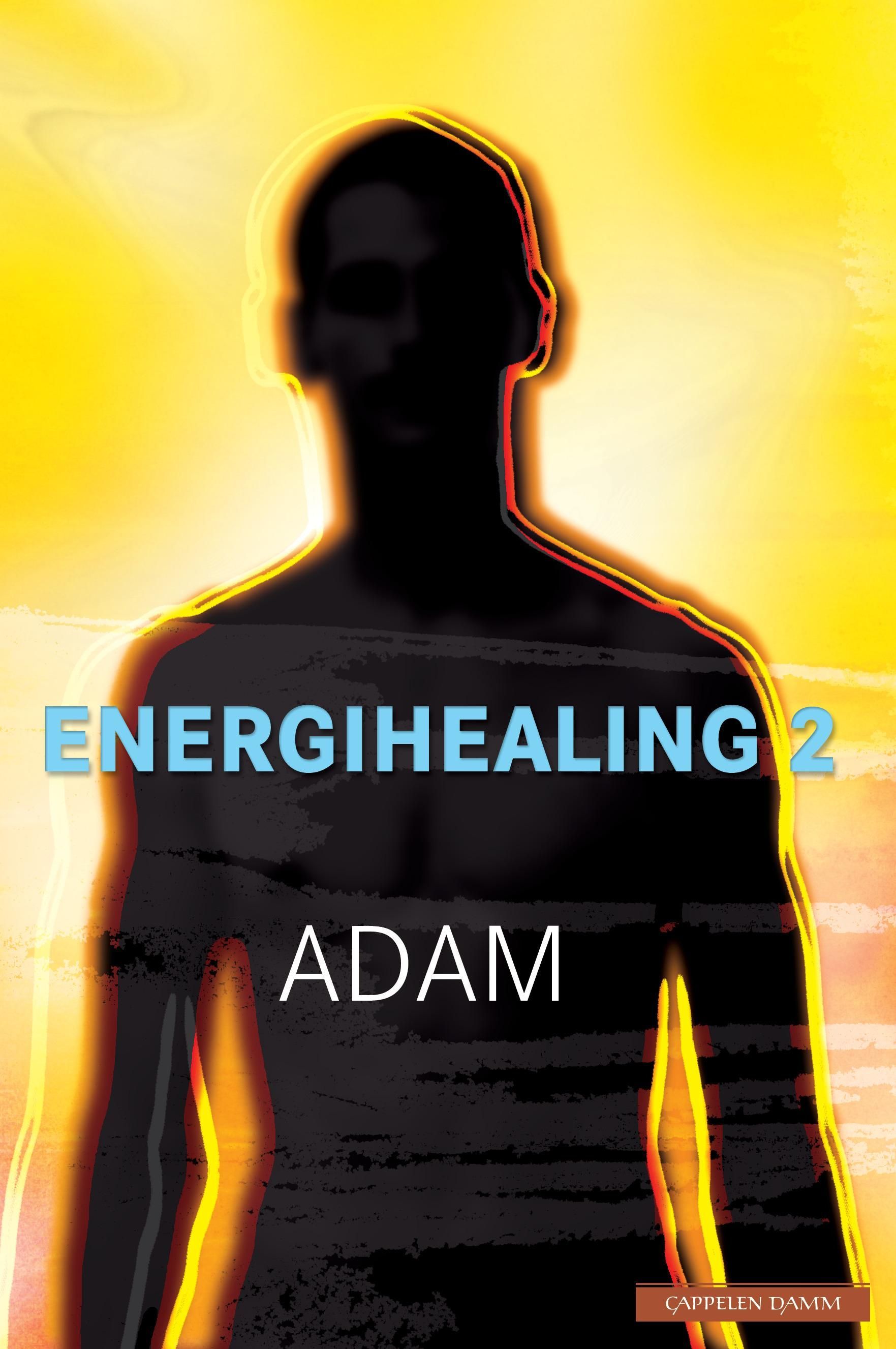 Forsidebilde av Energihealing. 2