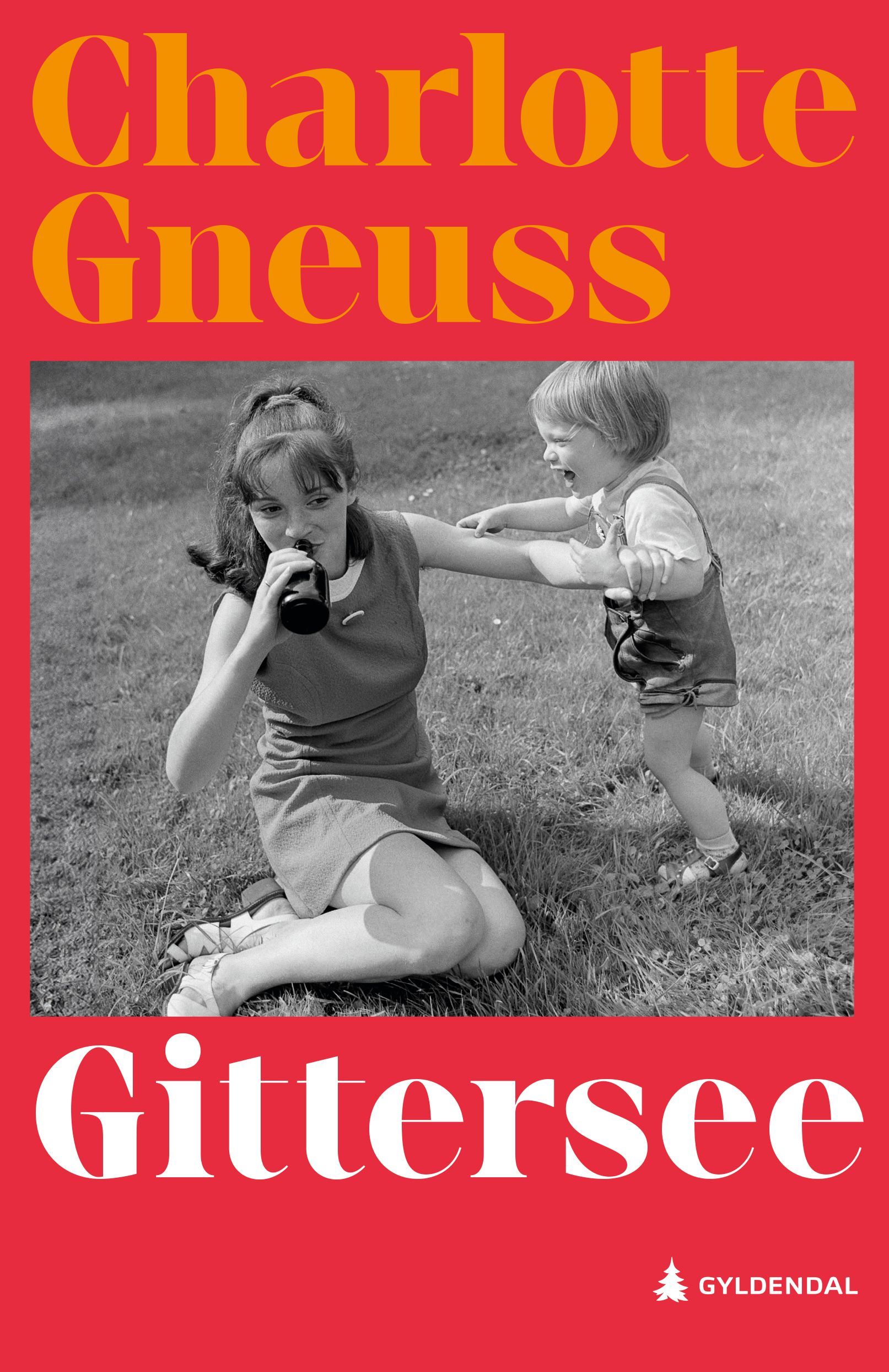 Gittersee : roman