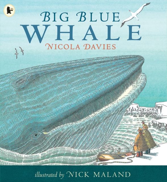 Big Blue Whale : Award-winning picture book about the blue whale,  with a gentle story and fascinating facts