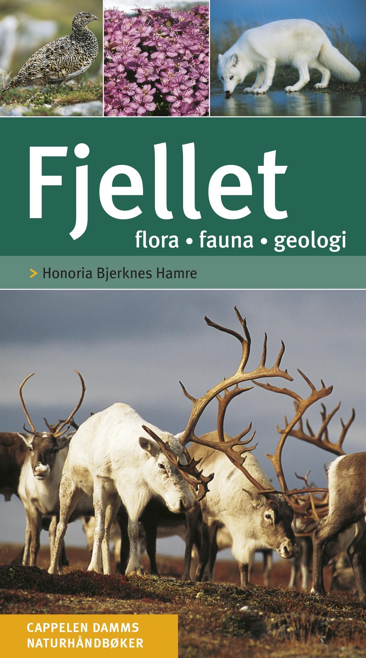 Fjellet : flora, fauna, geologi