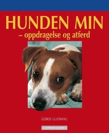 Hunden min : oppdragelse og adferd