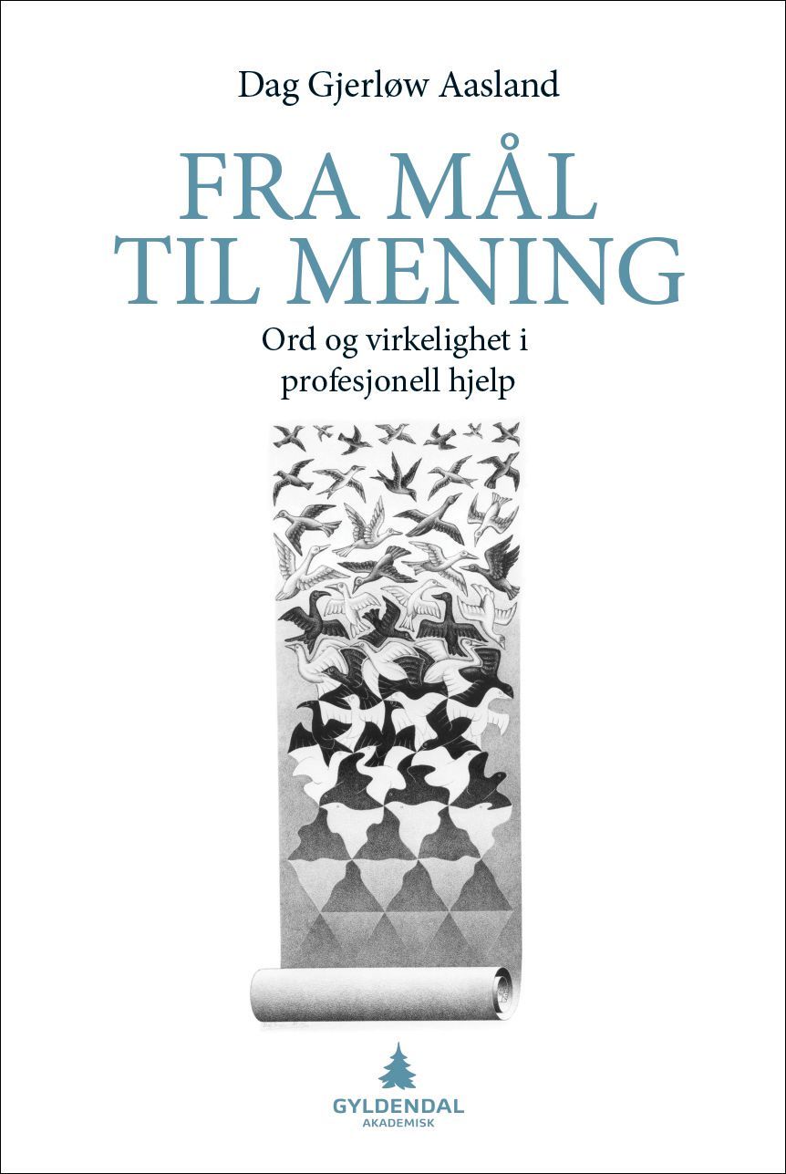 Fra mål til mening : ord og virkelighet i profesjonell hjelp