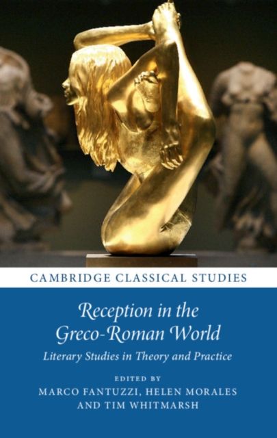 Reception in the Greco-Roman World : Literary Studies in Theory and Practice