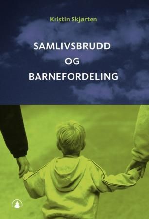 Samlivsbrudd og barnefordeling : en studie av lagmannsrettsdommer