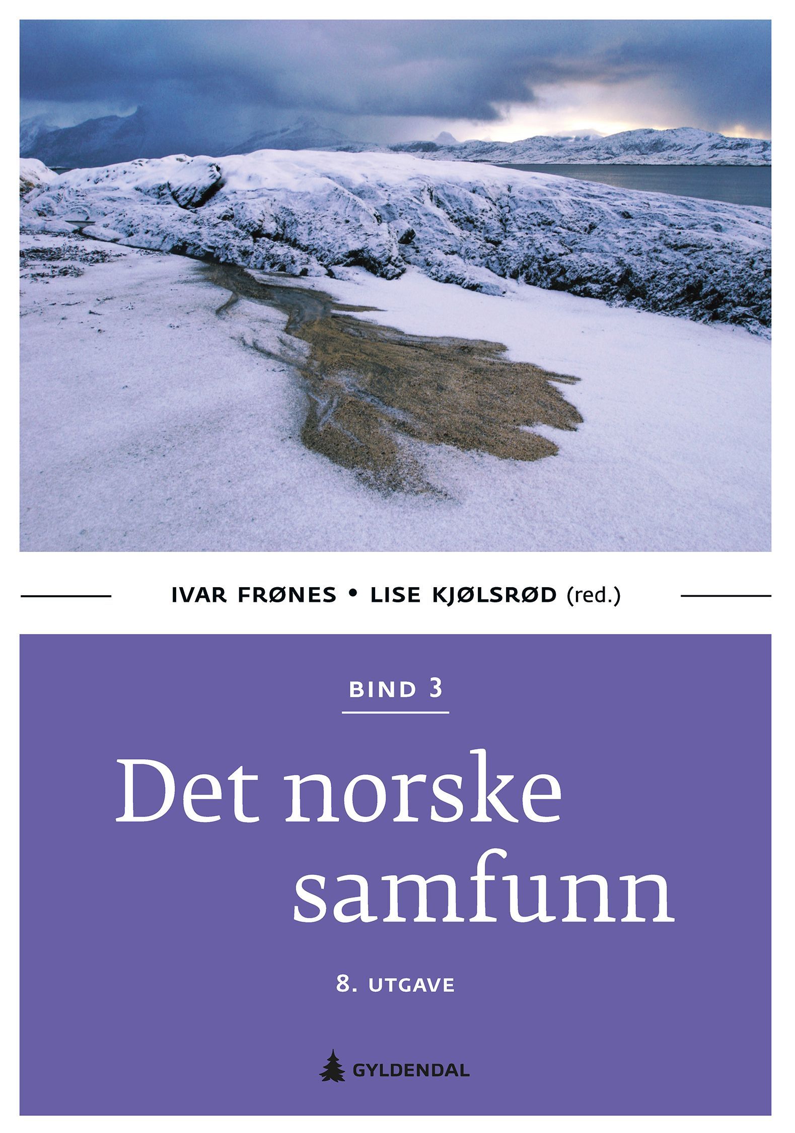 Det norske samfunn. Bind 3