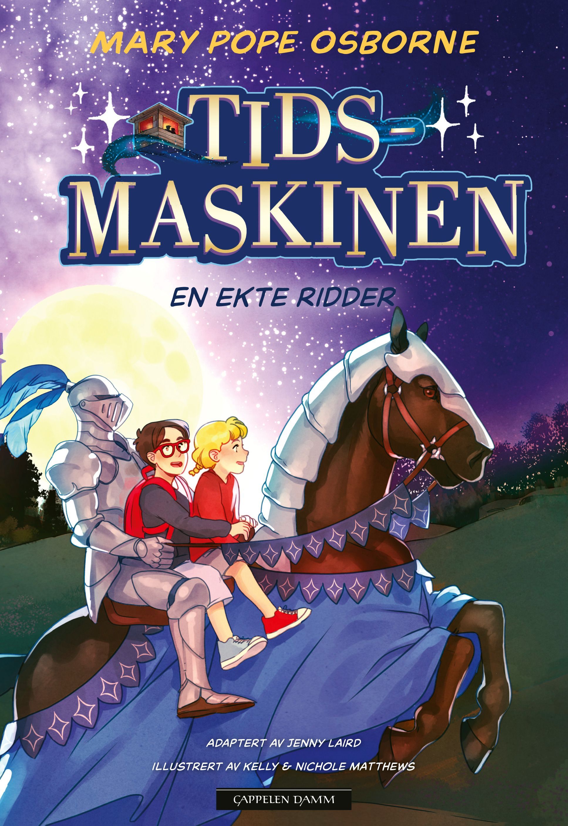 En ekte ridder : en tegneserieroman