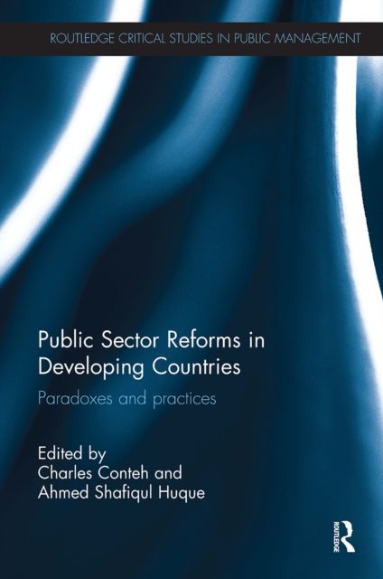 Public Sector Reforms in Developing Countries : Paradoxes and Practices