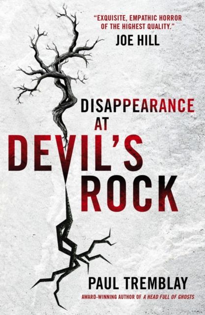 Disappearance at Devil's Rock : A Novel