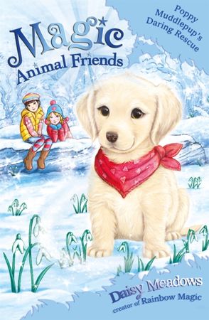 Magic animal friends