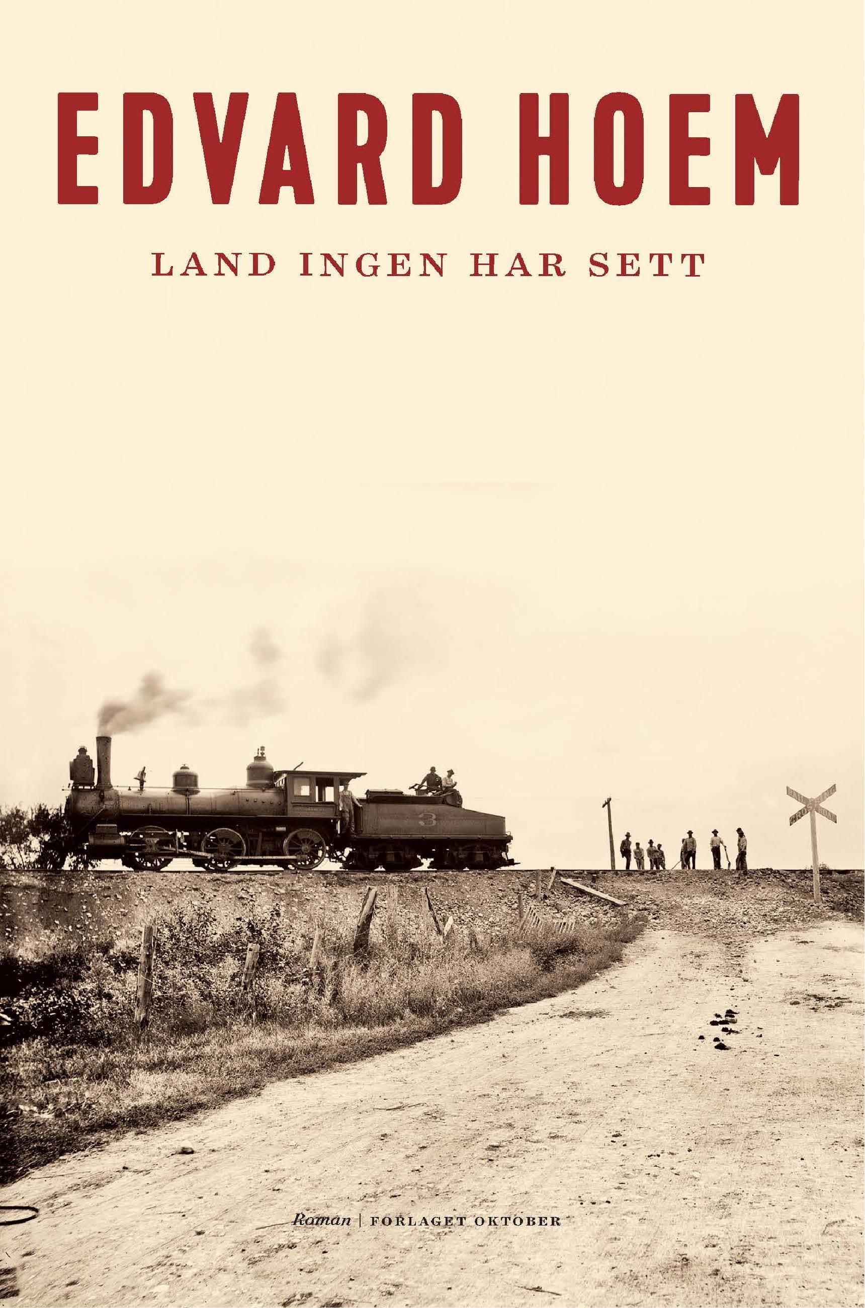 Land ingen har sett : roman
