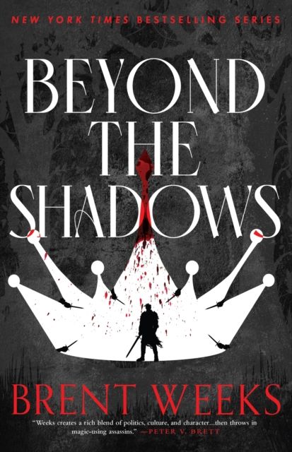 Beyond The Shadows : Book 3 of the Night Angel