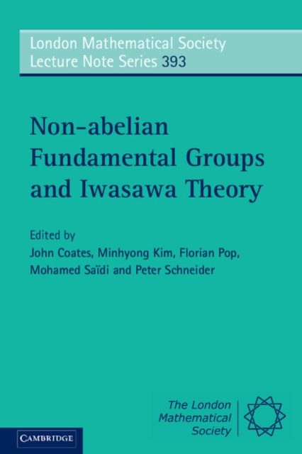 Non-abelian Fundamental Groups and Iwasawa Theory