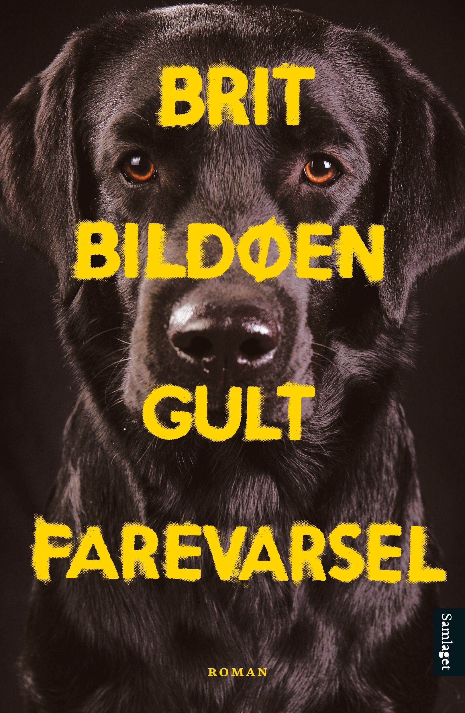 Gult farevarsel : roman