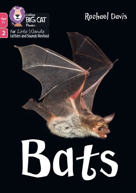 Bats : Phase 2 Set 5