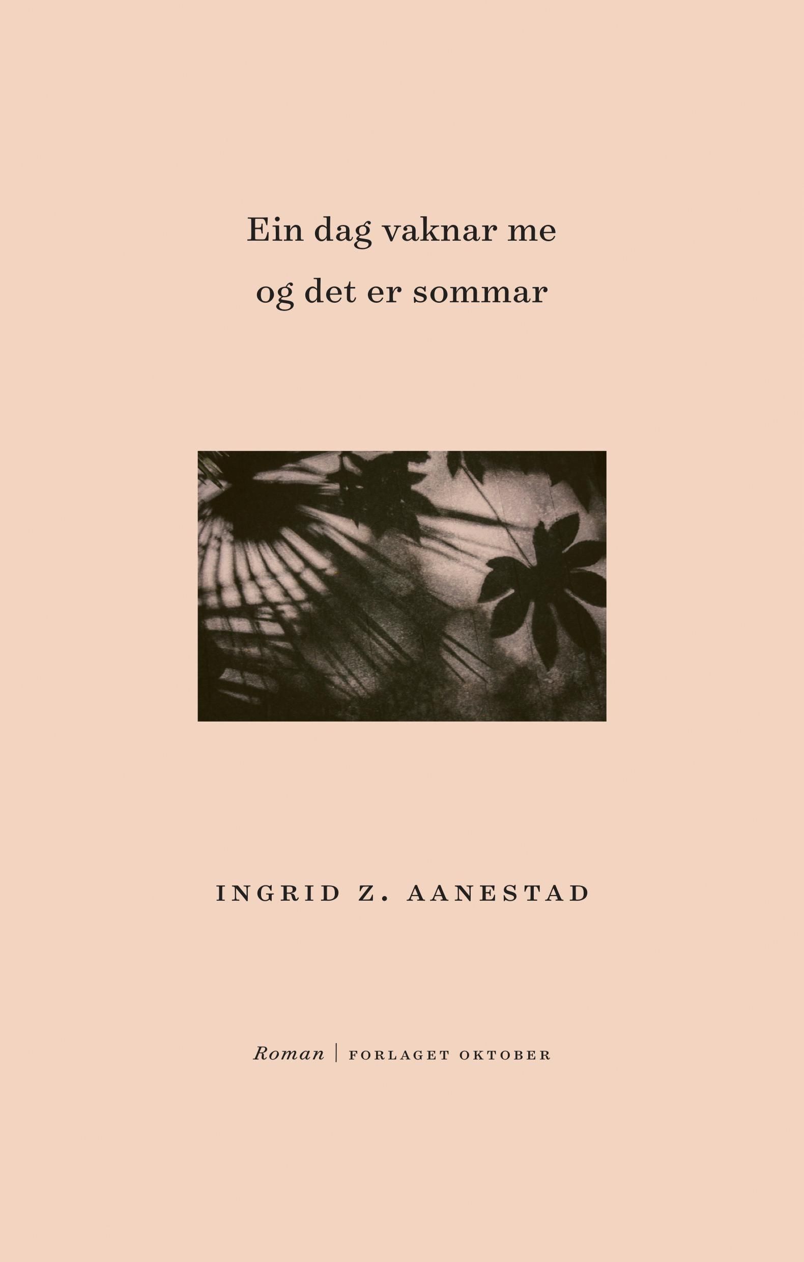 Ein dag vaknar me og det er sommar : roman