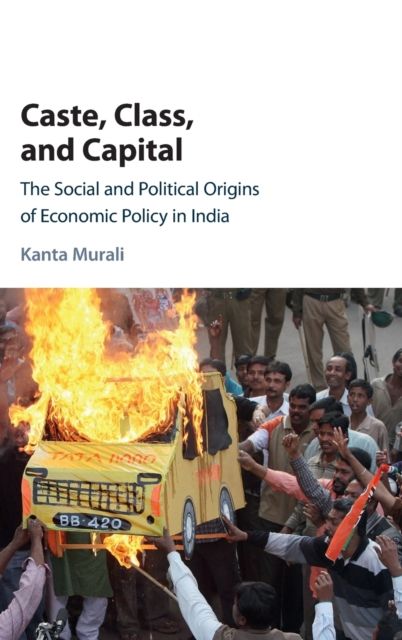 Caste, Class, and Capital : The Social and Political Origins of Economic Policy in India